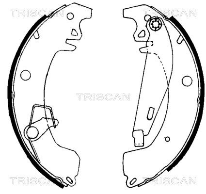 TRISCAN Комплект тормозных колодок 8100 10031