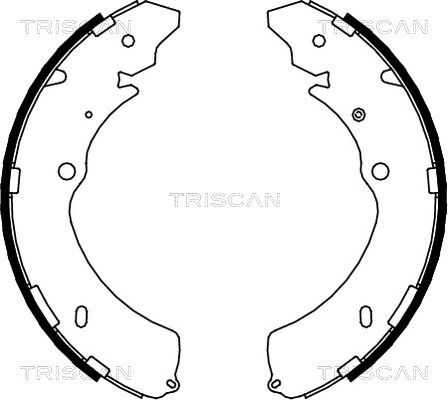 TRISCAN Bremžu loku komplekts 8100 10032