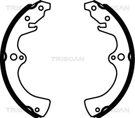 TRISCAN Комплект тормозных колодок 8100 10036