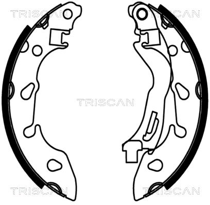 TRISCAN Комплект тормозных колодок 8100 10038