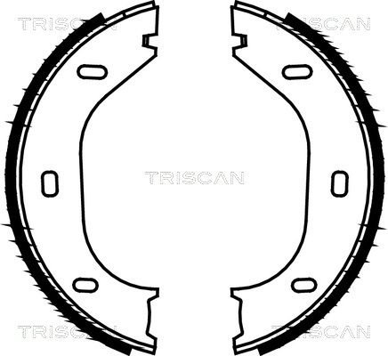 TRISCAN Комплект тормозных колодок, стояночная тормозная с 8100 10290