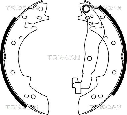 TRISCAN Комплект тормозных колодок 8100 10307