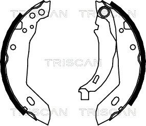TRISCAN Комплект тормозных колодок 8100 10389