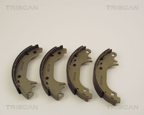 TRISCAN Комплект тормозных колодок 8100 10407