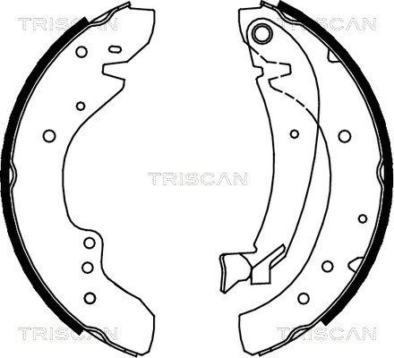 TRISCAN Комплект тормозных колодок 8100 10573