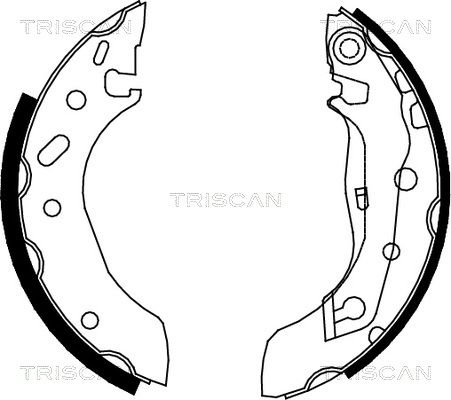 TRISCAN Комплект тормозных колодок 8100 10586