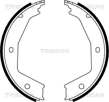 TRISCAN Комплект тормозных колодок, стояночная тормозная с 8100 10629