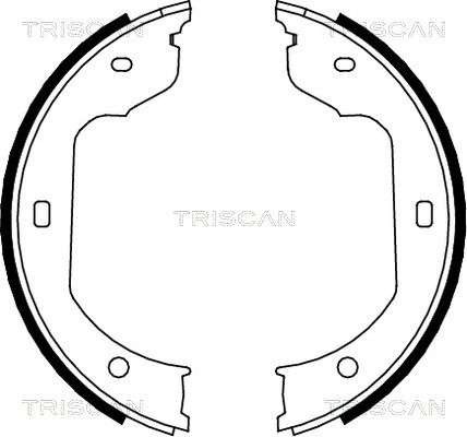 TRISCAN Комплект тормозных колодок 8100 11012
