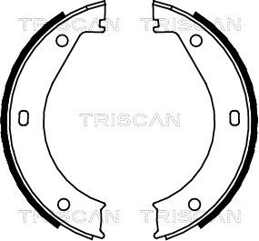 TRISCAN Комплект тормозных колодок, стояночная тормозная с 8100 11415