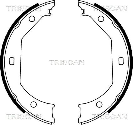 TRISCAN Комплект тормозных колодок 8100 11638