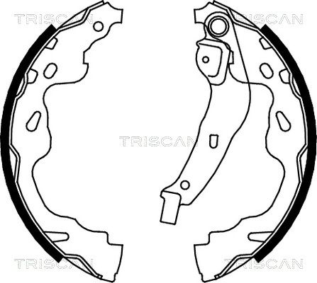 TRISCAN Комплект тормозных колодок 8100 13035