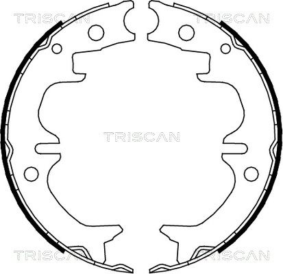 TRISCAN Комплект тормозных колодок, стояночная тормозная с 8100 13038