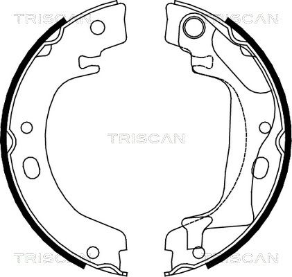 TRISCAN Комплект тормозных колодок, стояночная тормозная с 8100 13041