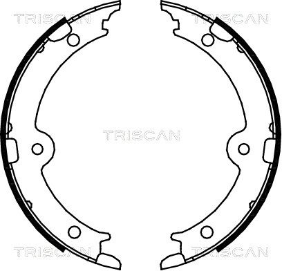 TRISCAN Комплект тормозных колодок, стояночная тормозная с 8100 13045