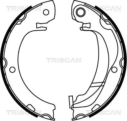 TRISCAN Комплект тормозных колодок, стояночная тормозная с 8100 13047