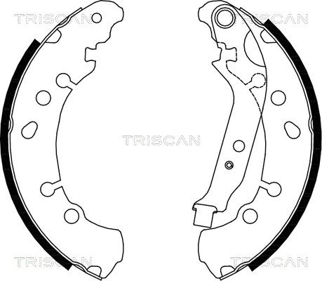 TRISCAN Комплект тормозных колодок, стояночная тормозная с 8100 13048