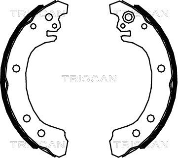 TRISCAN Bremžu loku komplekts 8100 13049