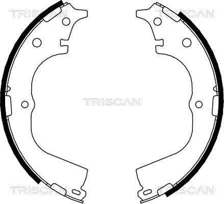 TRISCAN Комплект тормозных колодок 8100 13557