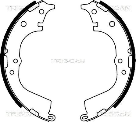 TRISCAN Комплект тормозных колодок 8100 13591