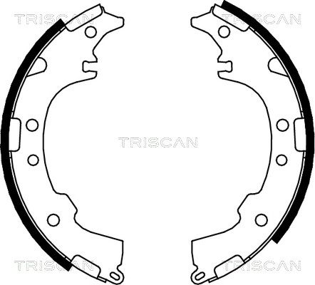 TRISCAN Комплект тормозных колодок 8100 13601