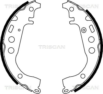 TRISCAN Комплект тормозных колодок, стояночная тормозная с 8100 13617