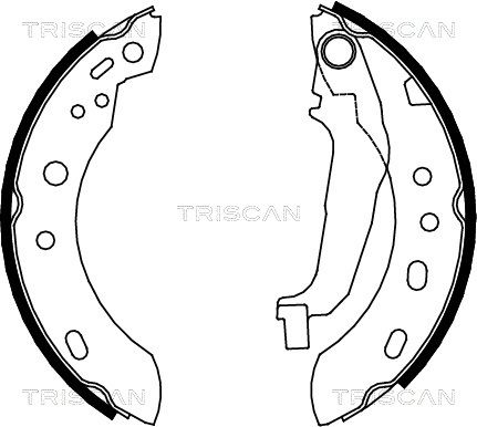 TRISCAN Комплект тормозных колодок 8100 14001