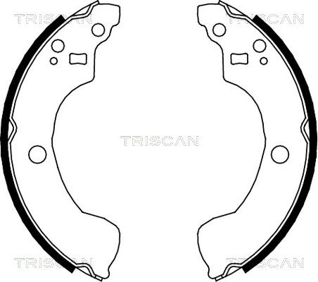 TRISCAN Комплект тормозных колодок 8100 14004