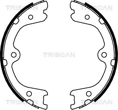 TRISCAN Комплект тормозных колодок, стояночная тормозная с 8100 14008