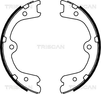 TRISCAN Комплект тормозных колодок, стояночная тормозная с 8100 14009