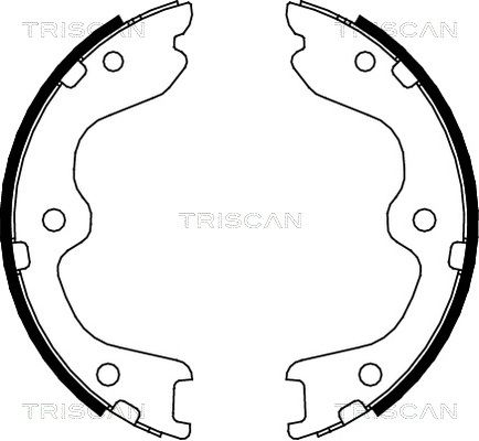 TRISCAN Комплект тормозных колодок, стояночная тормозная с 8100 14010