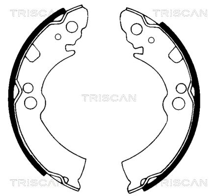 TRISCAN Комплект тормозных колодок 8100 14396