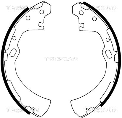 TRISCAN Комплект тормозных колодок 8100 14510