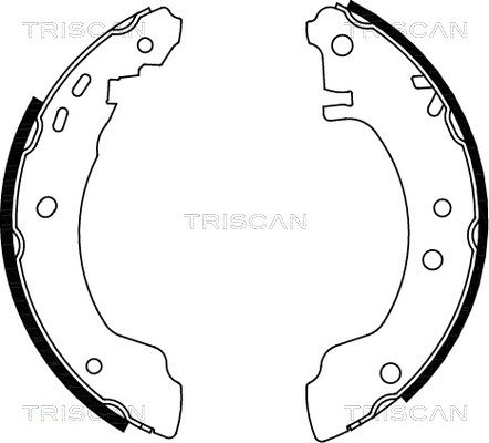 TRISCAN Комплект тормозных колодок 8100 14531