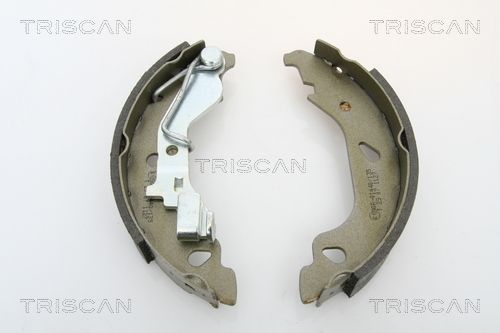 TRISCAN Комплект тормозных колодок 8100 15013