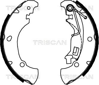 TRISCAN Комплект тормозных колодок 8100 15017