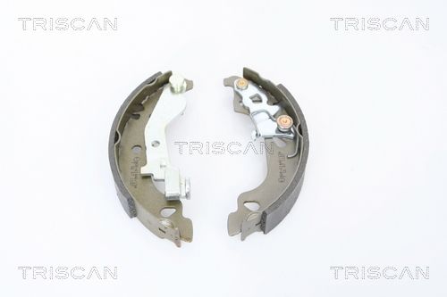 TRISCAN Комплект тормозных колодок 8100 15018