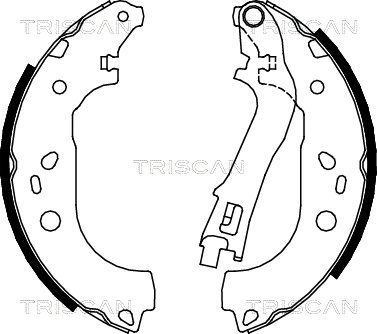 TRISCAN Комплект тормозных колодок 8100 15021