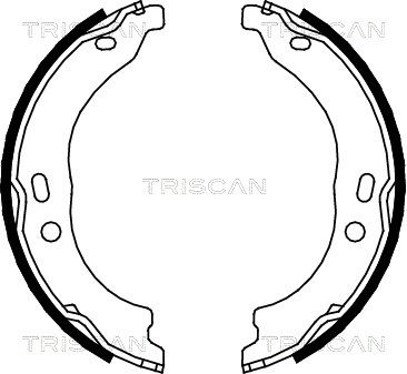 TRISCAN Комплект тормозных колодок, стояночная тормозная с 8100 15024