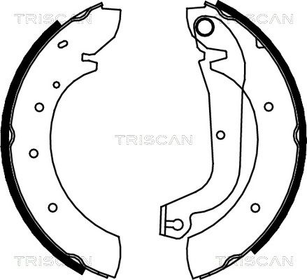 TRISCAN Bremžu loku komplekts 8100 15480