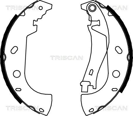 TRISCAN Комплект тормозных колодок 8100 15626