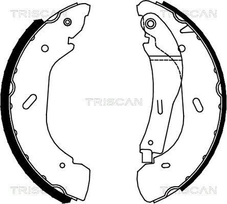 TRISCAN Комплект тормозных колодок 8100 16005