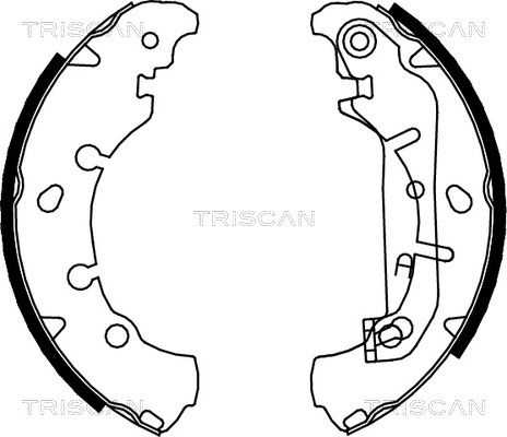 TRISCAN Комплект тормозных колодок 8100 16006