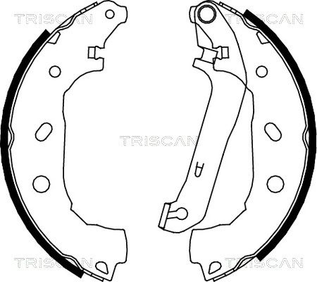TRISCAN Комплект тормозных колодок 8100 16009