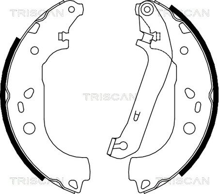TRISCAN Комплект тормозных колодок 8100 16011