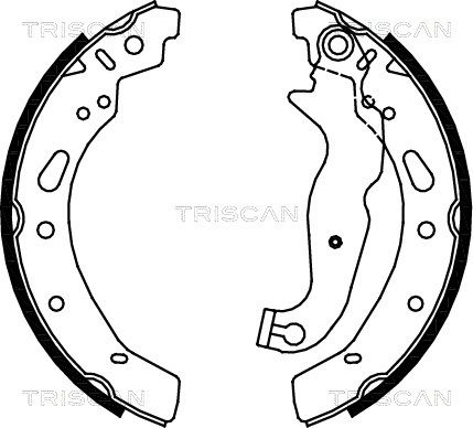 TRISCAN Комплект тормозных колодок 8100 16012