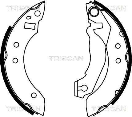 TRISCAN Комплект тормозных колодок 8100 16355