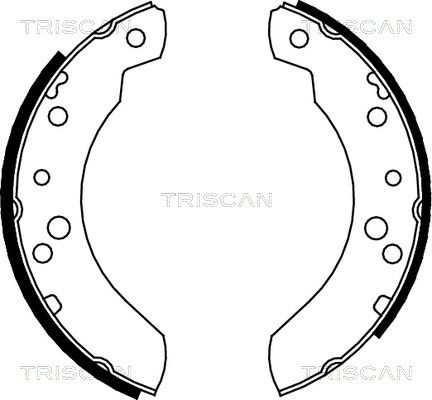 TRISCAN Комплект тормозных колодок 8100 16440