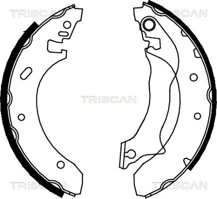 TRISCAN Комплект тормозных колодок 8100 16559