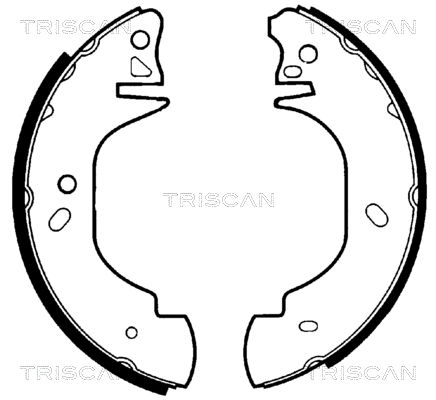 TRISCAN Комплект тормозных колодок 8100 16570