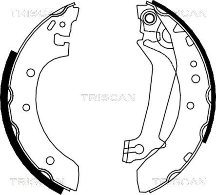 TRISCAN Комплект тормозных колодок 8100 16587